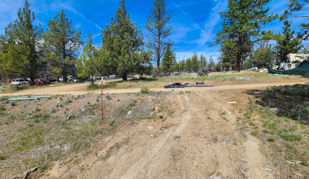W Edge of Property (14)