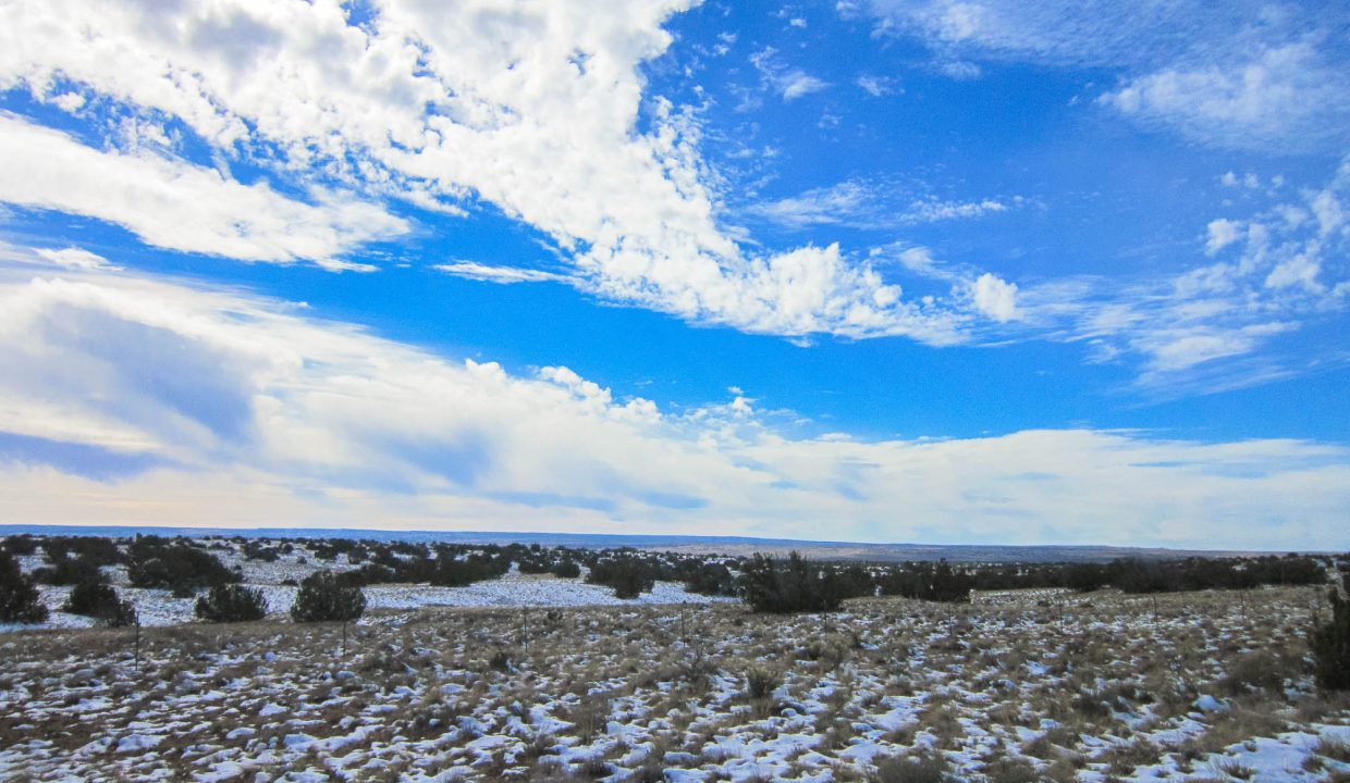 207-06-064 Scenery
