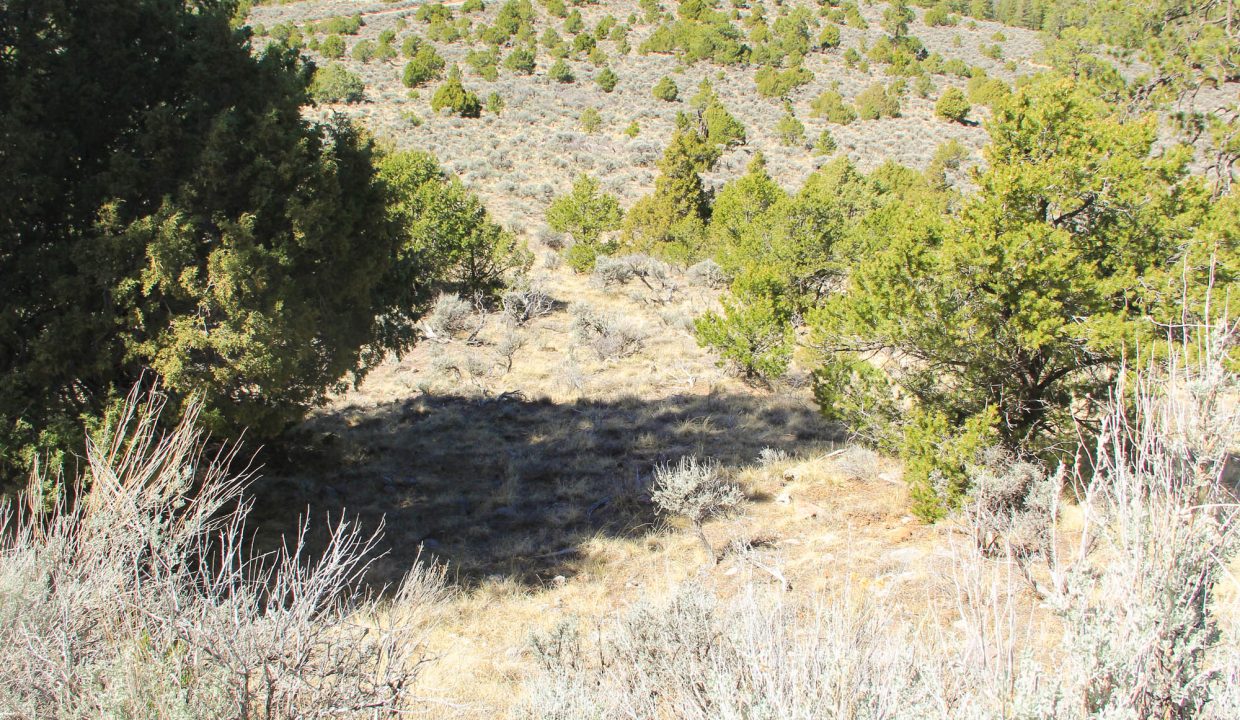 702-30-600 Downslope from roadside