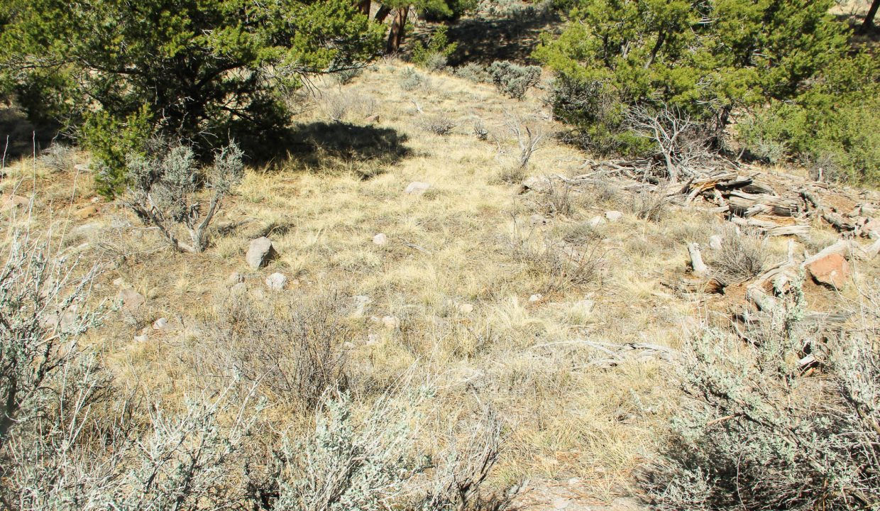 702-30-600 Downslope looking into clearing