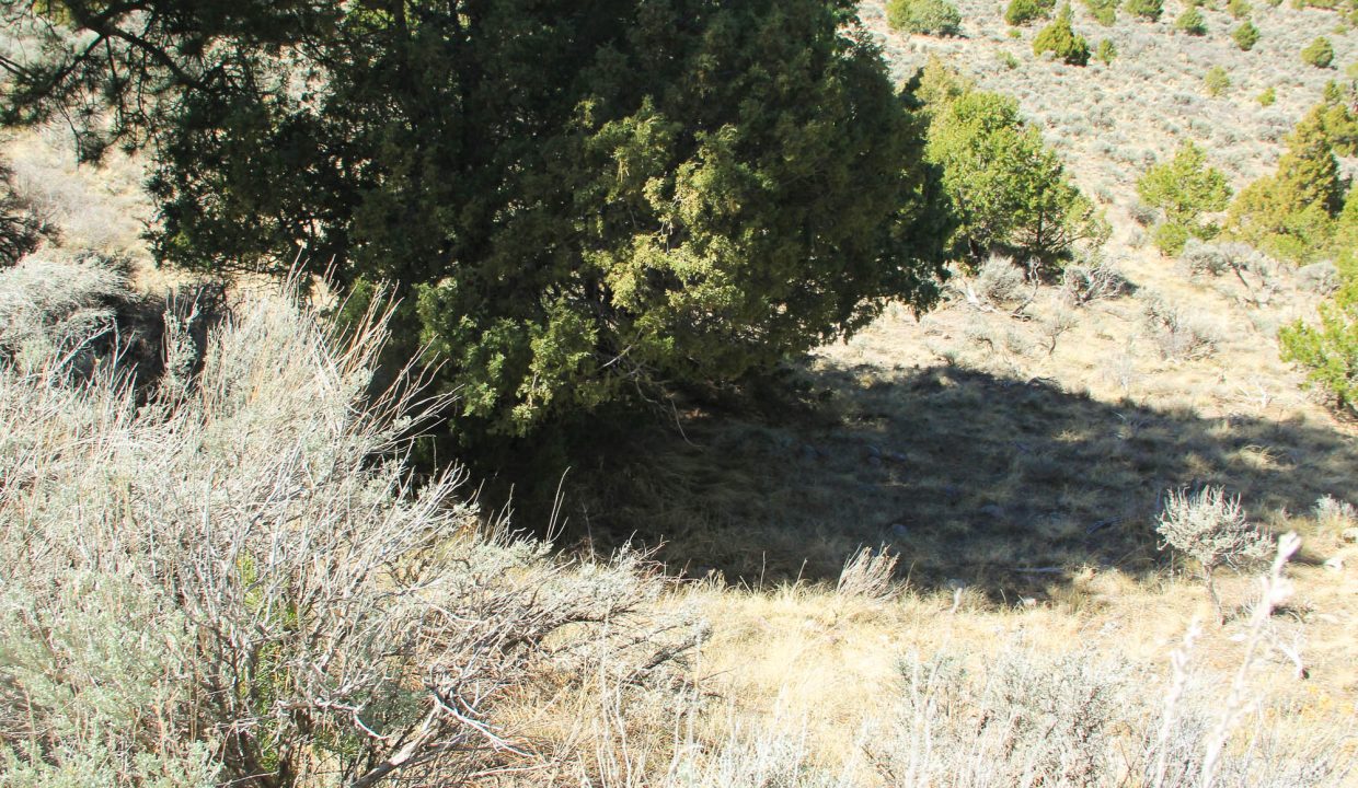 702-30-600 downslope looking Northwest