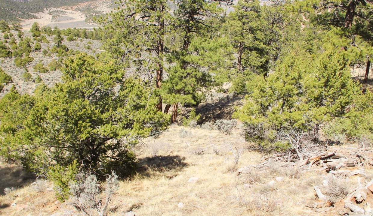702-30-600 East looking Slope 2