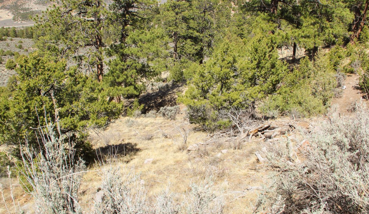 702-30-600 East looking Slope