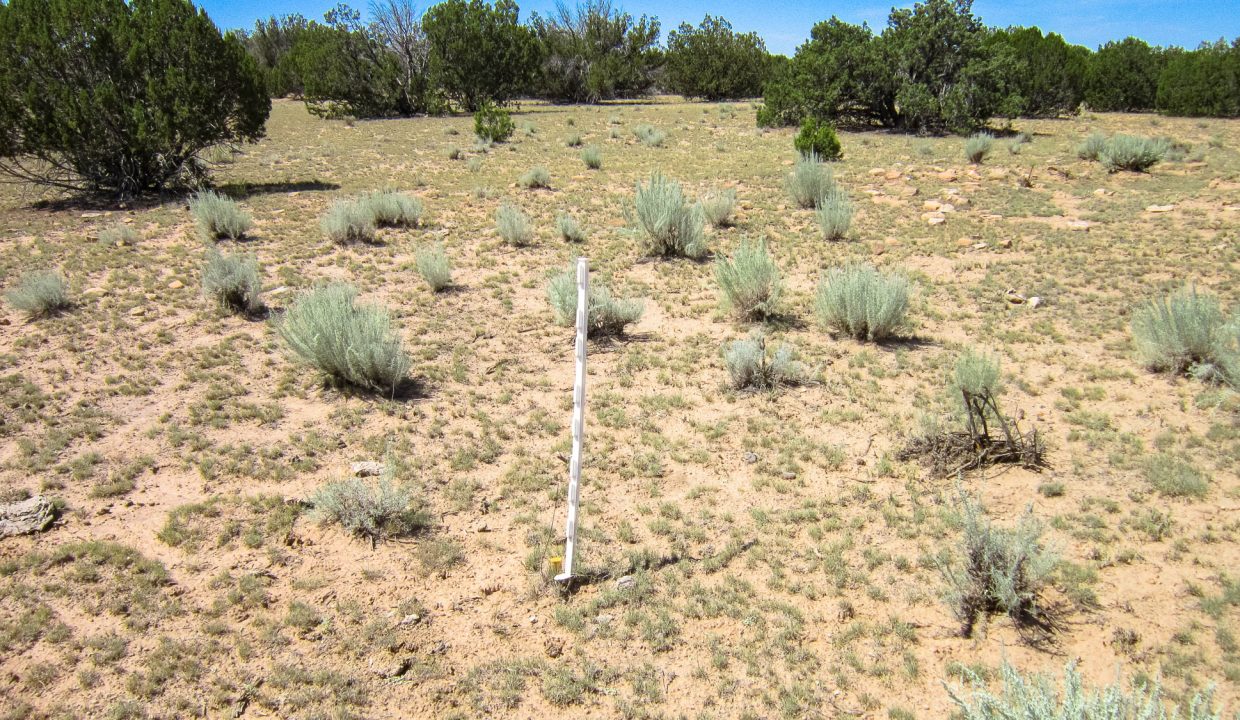 205-13-037E Possibly SE corner