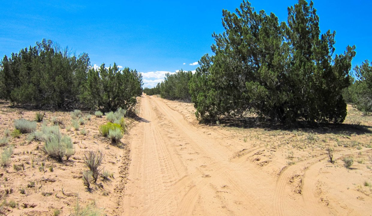 205-13-037E Road South