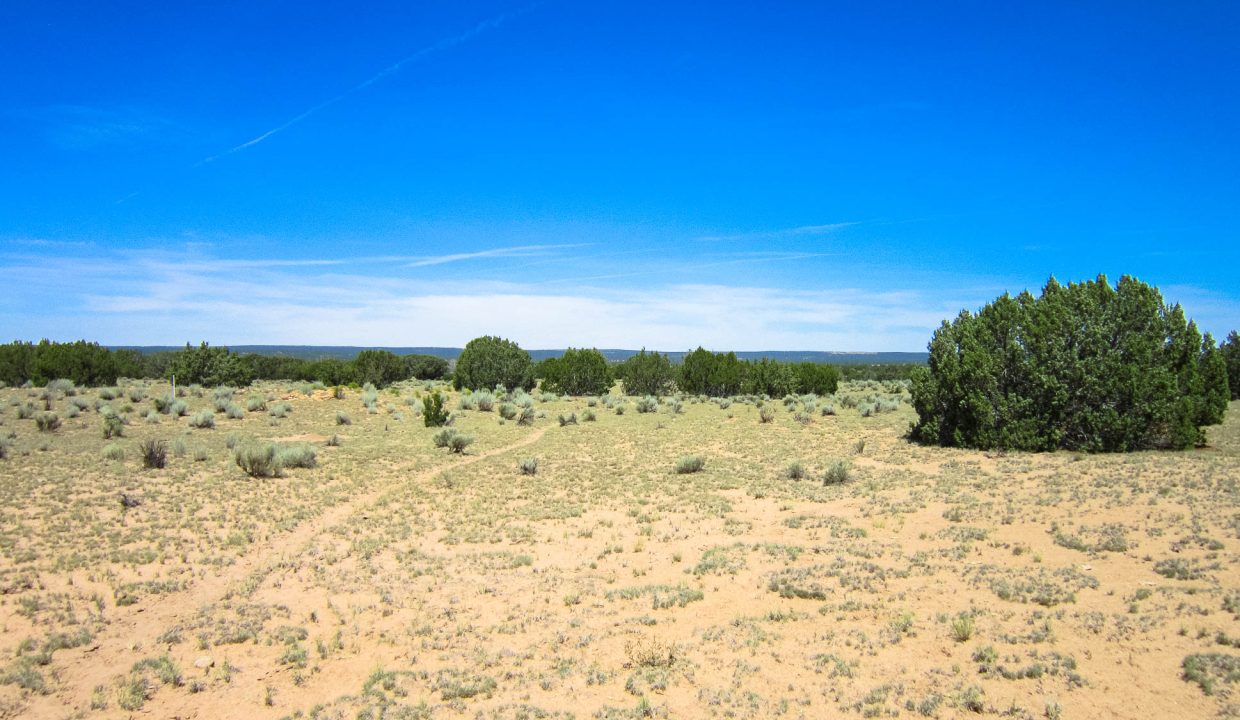 205-13-037E SE view