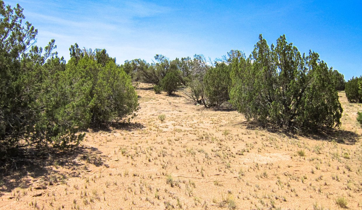 205-13-037E Sloping East