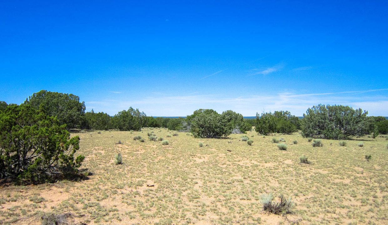 205-13-037E SW view (2)