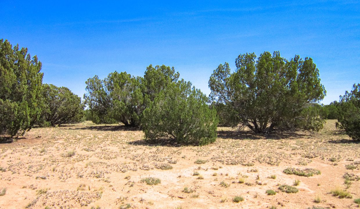 205-13-037E SW view