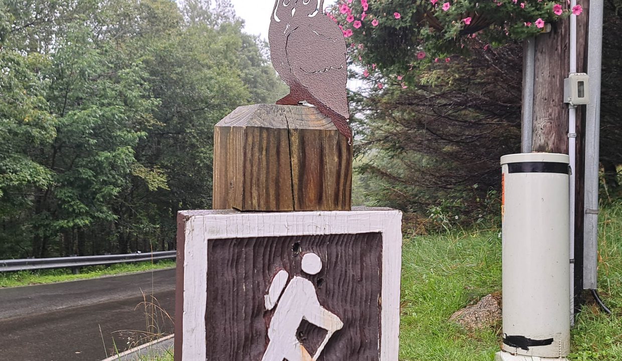 Beech Mountain area-9