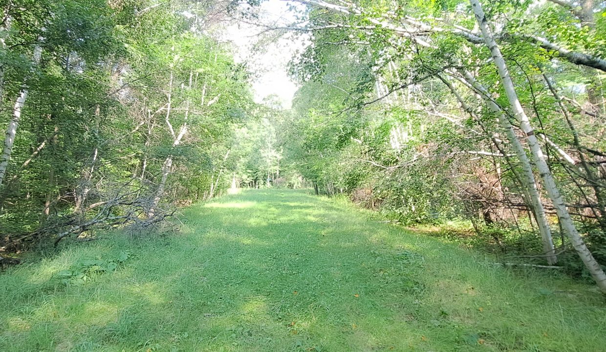 Sylvan Shores Area-22