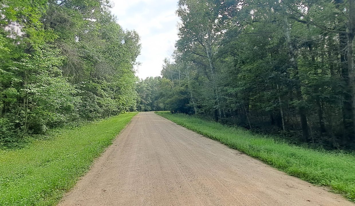 Sylvan Shores Area-23