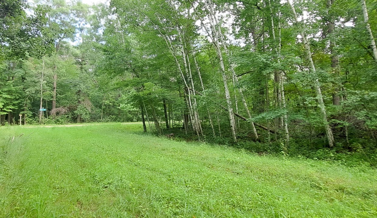 Sylvan Shores Area-30