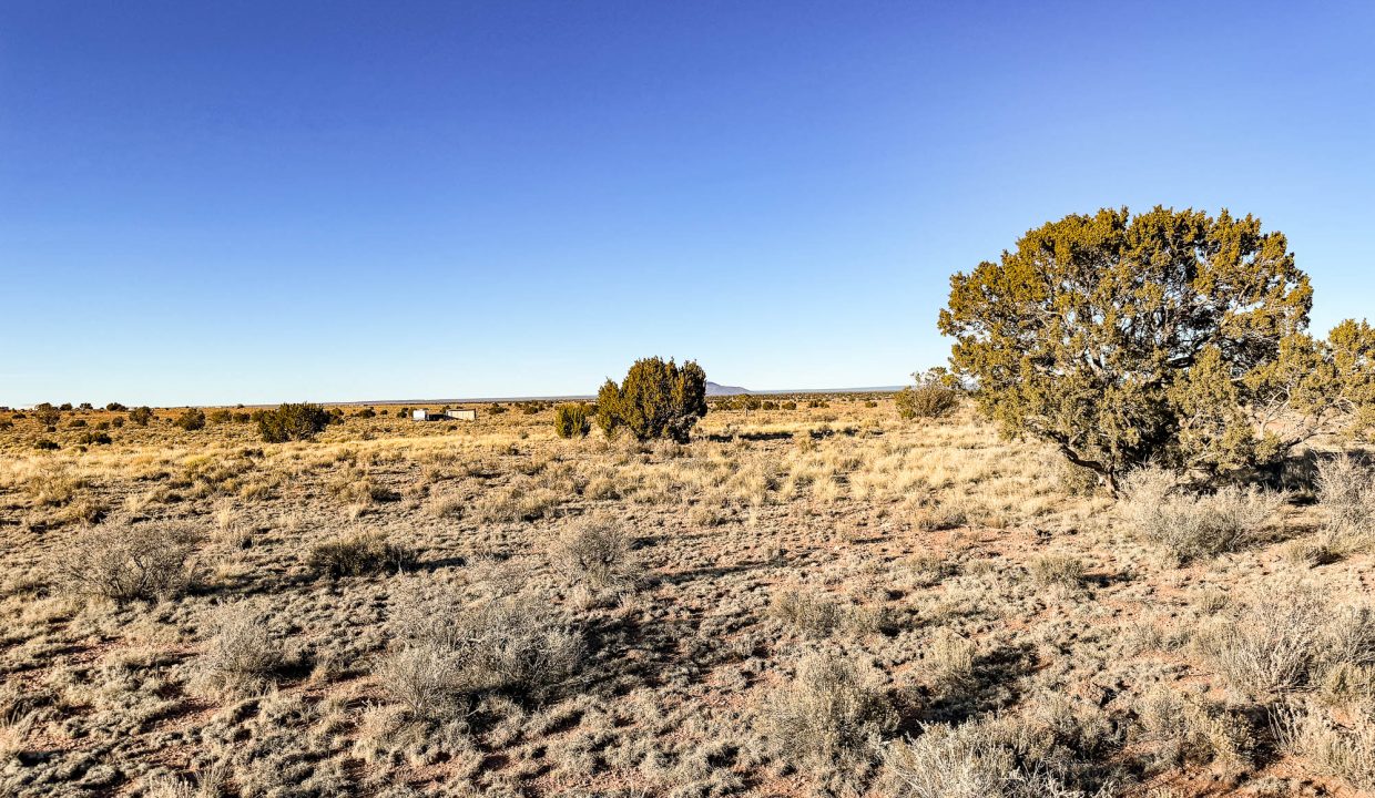 Grand Canyon Subdivision Area-3