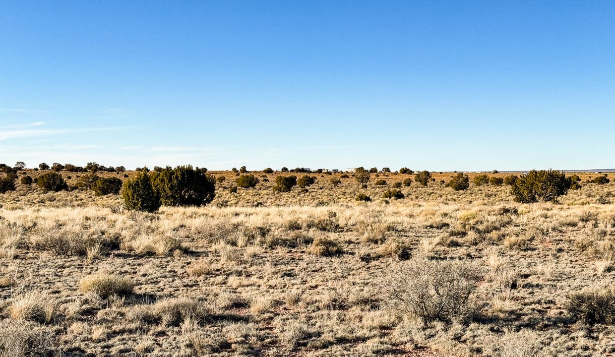 Grand Canyon Subdivision Area-6