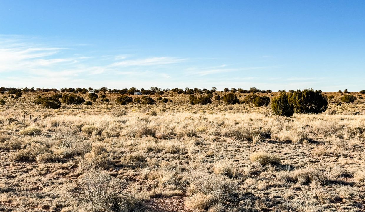 Grand Canyon Subdivision Area-8