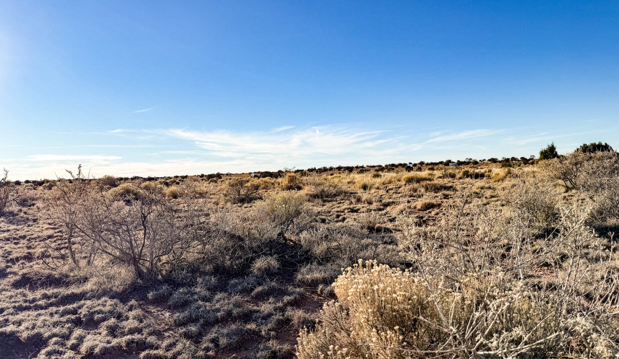 Grand Canyon Subdivision Area-12