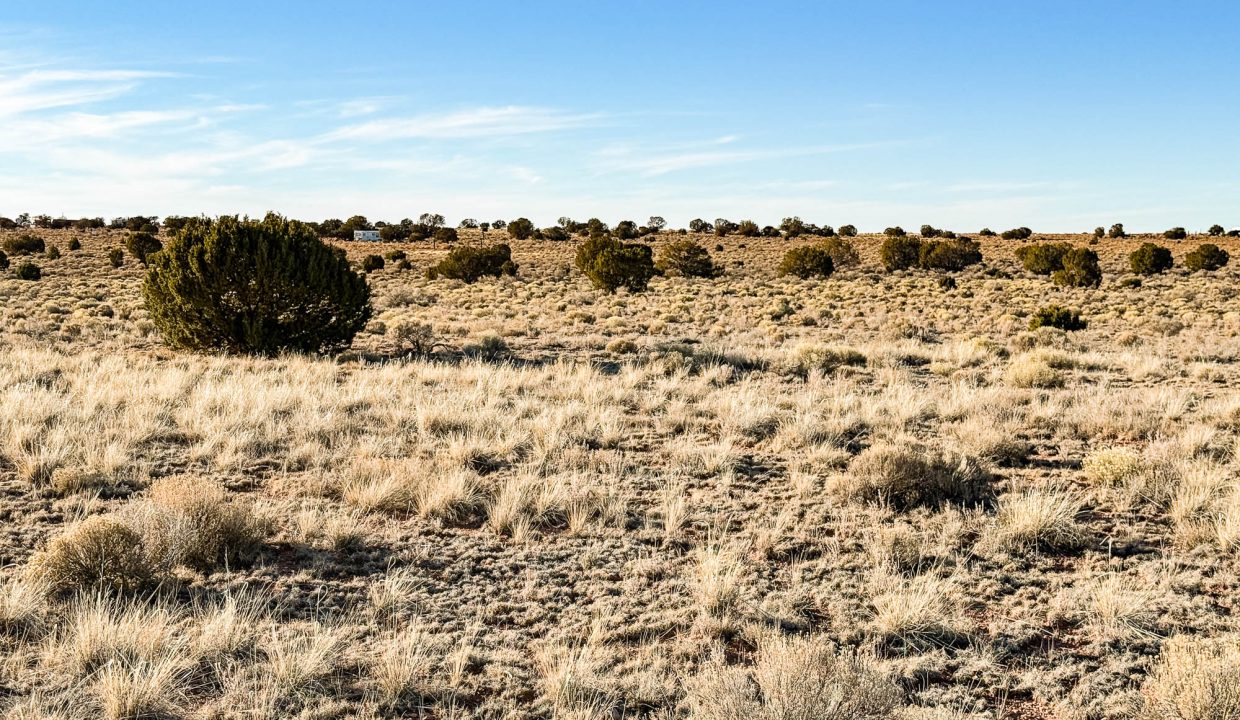 Grand Canyon Subdivision Area-15