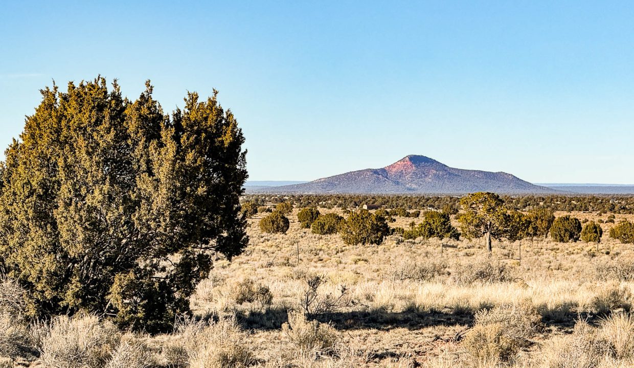 Grand Canyon Subdivision Area-19