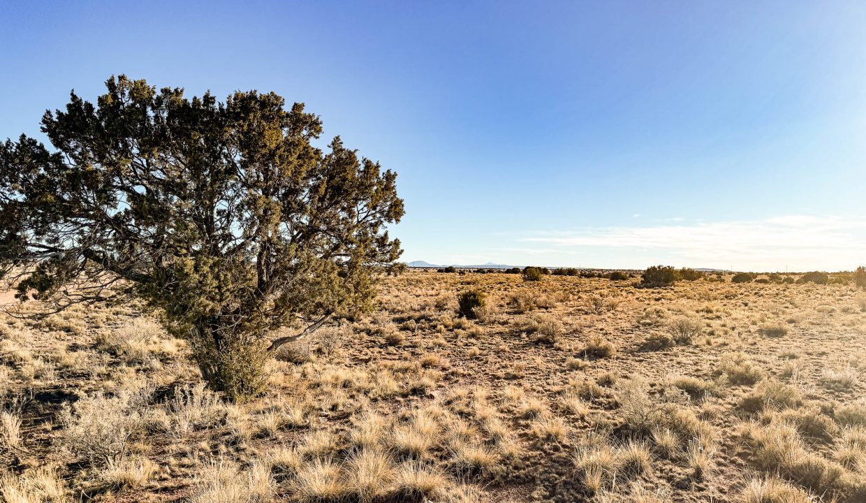 Grand Canyon Subdivision Area-22