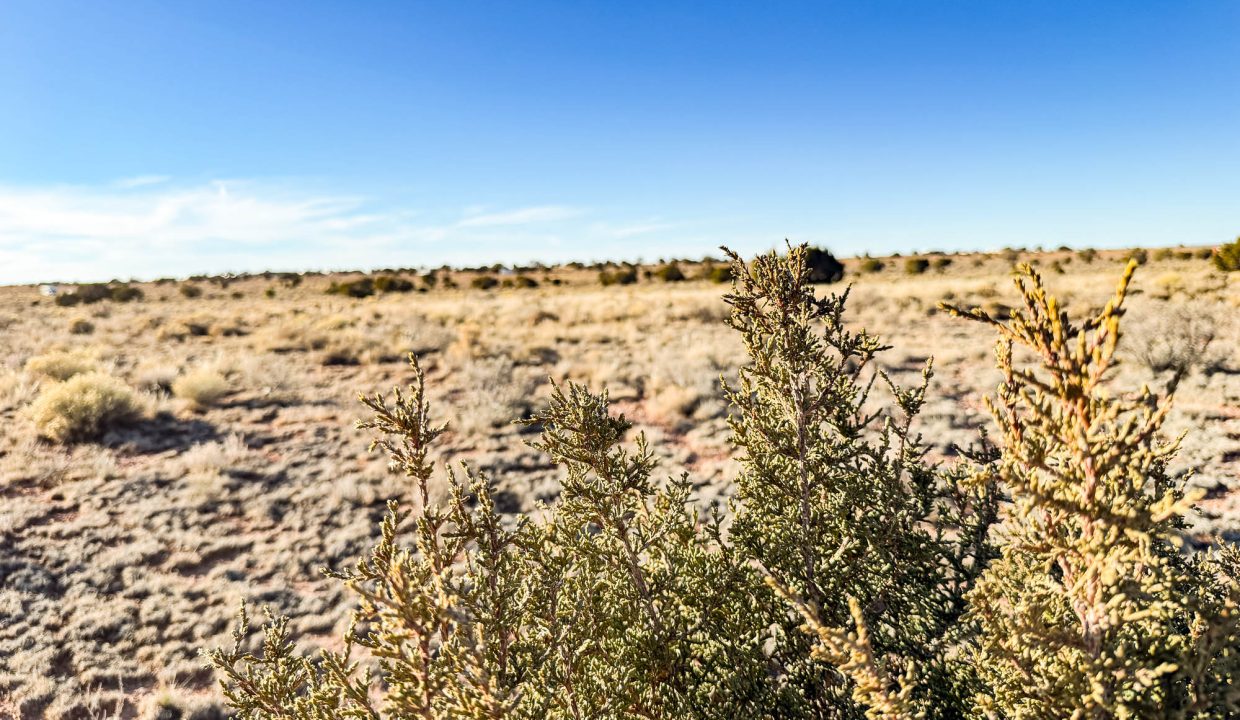 Grand Canyon Subdivision Area-24