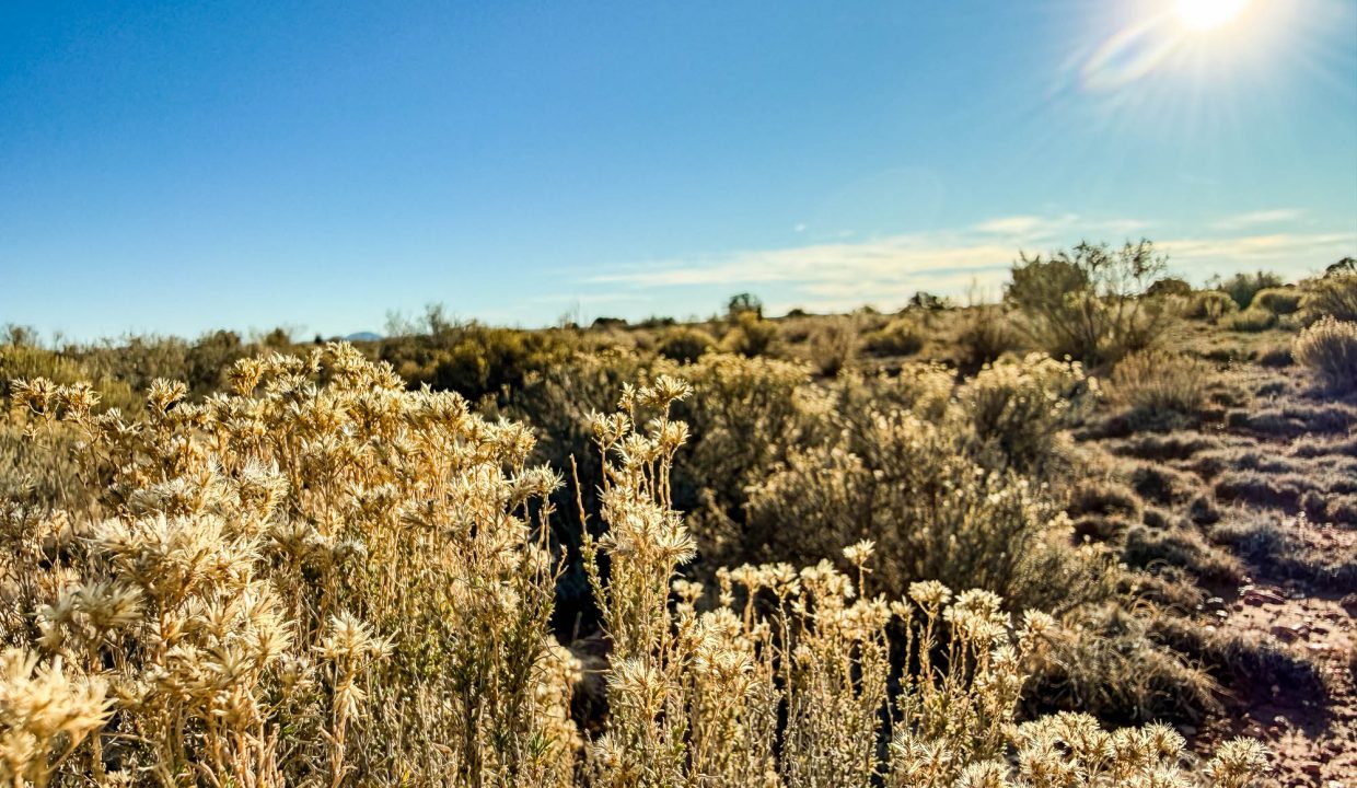 Grand Canyon Subdivision Area-26