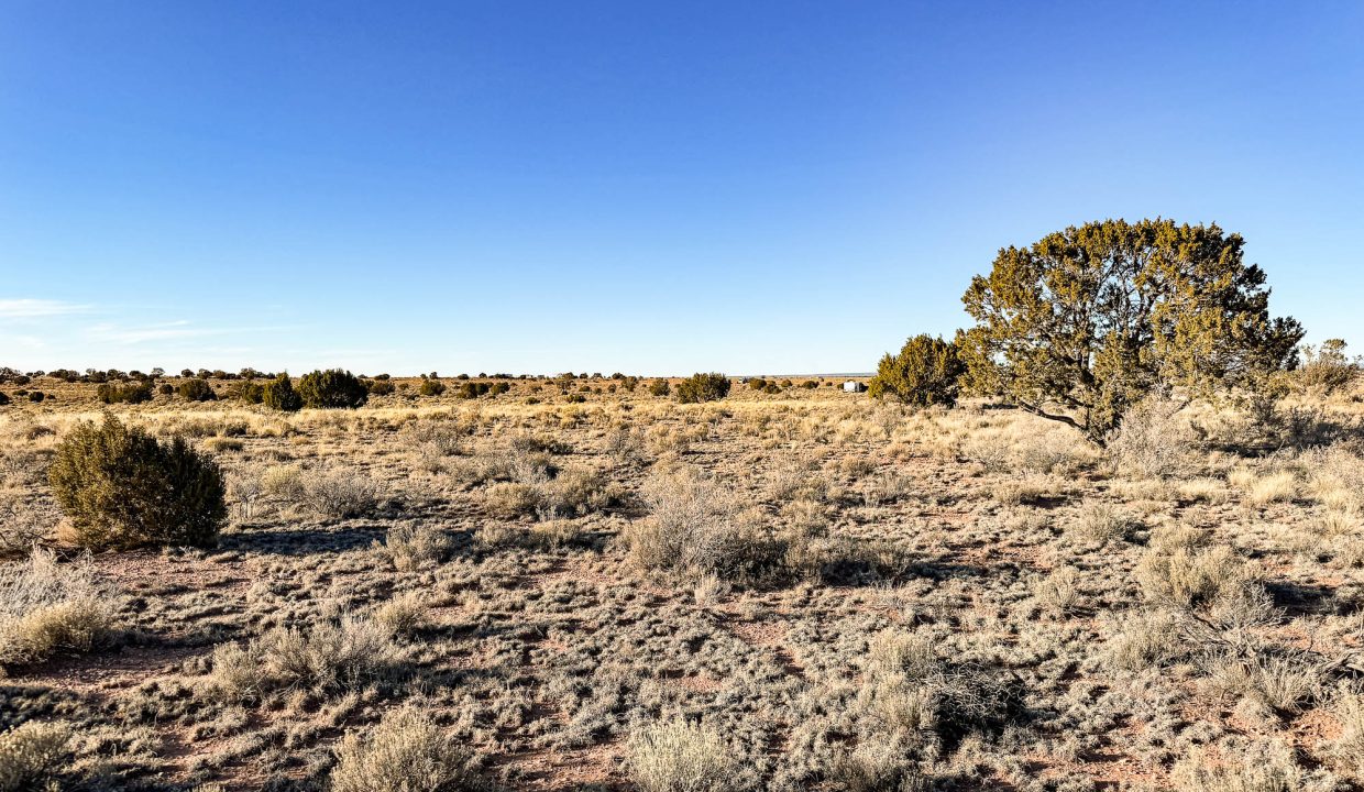 Grand Canyon Subdivision Area-28