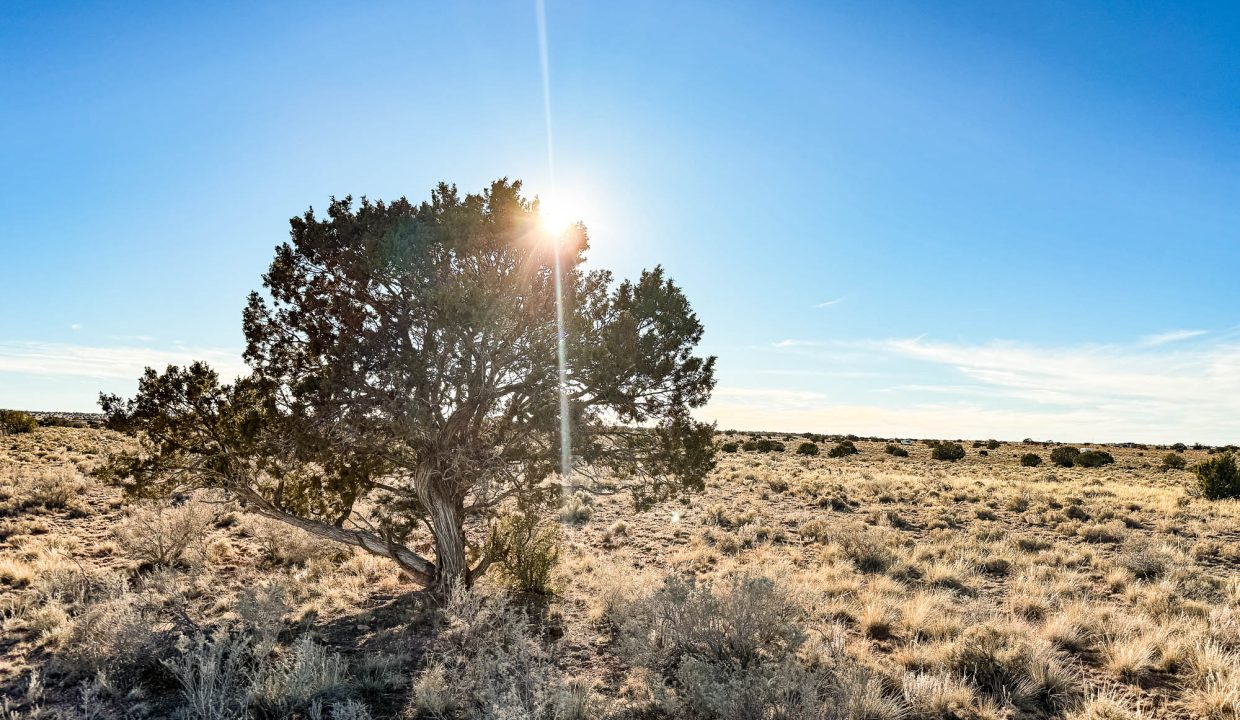 Grand Canyon Subdivision Area-36