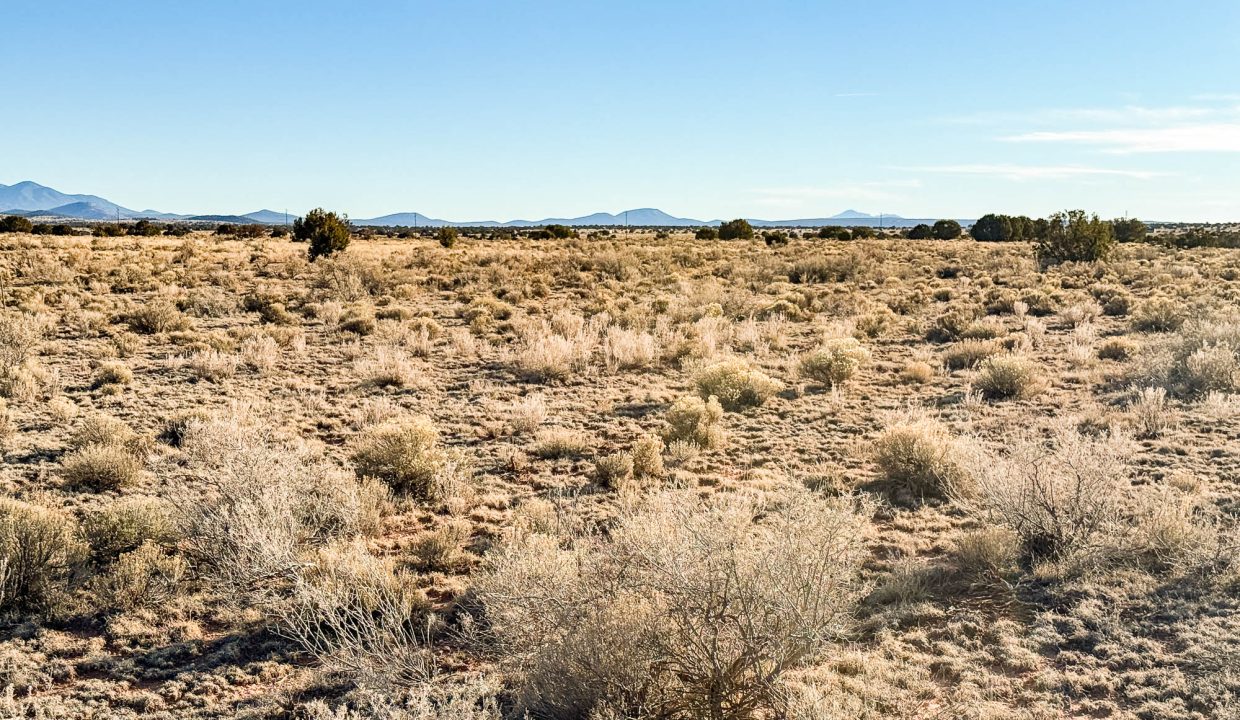 Grand Canyon Subdivision Area-37