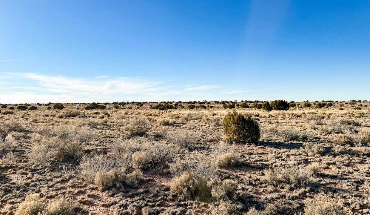 Grand Canyon Subdivision Area-39
