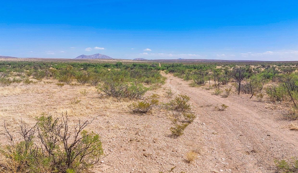 Area Image-15