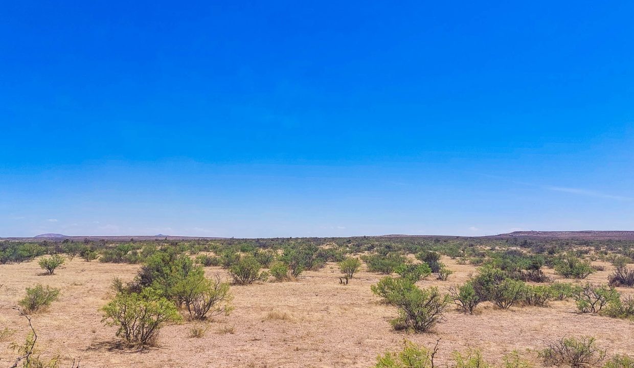 Area Image-5