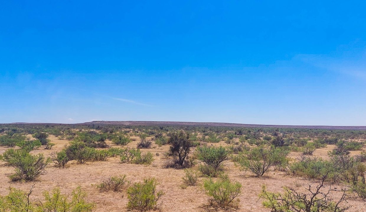 Area Image-6