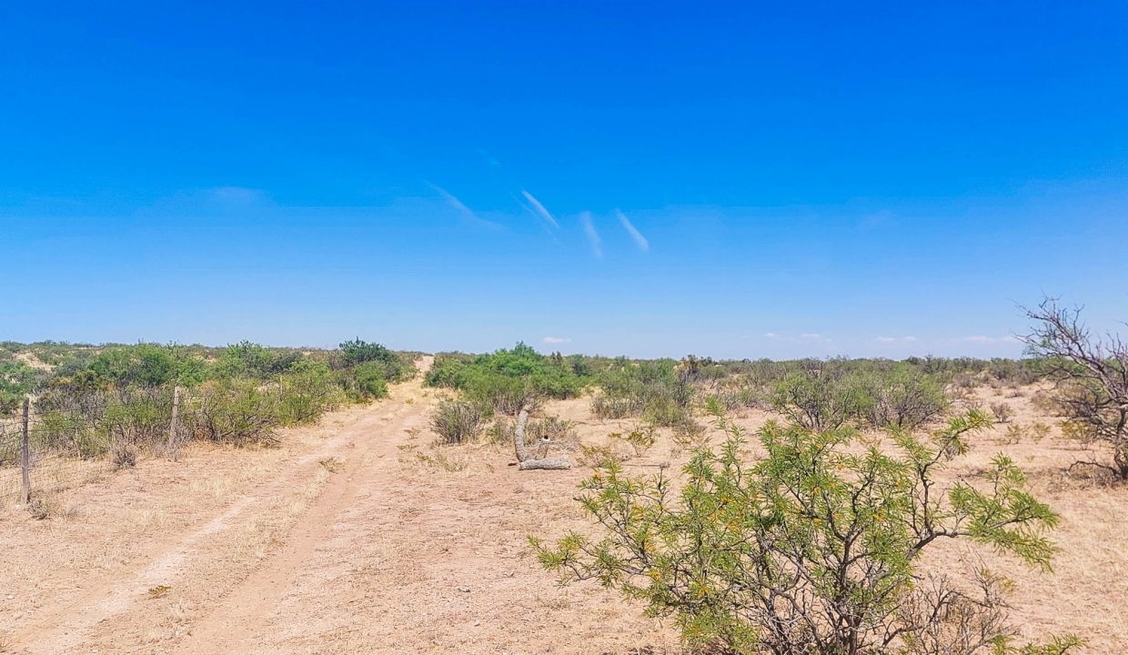 Area Image-9