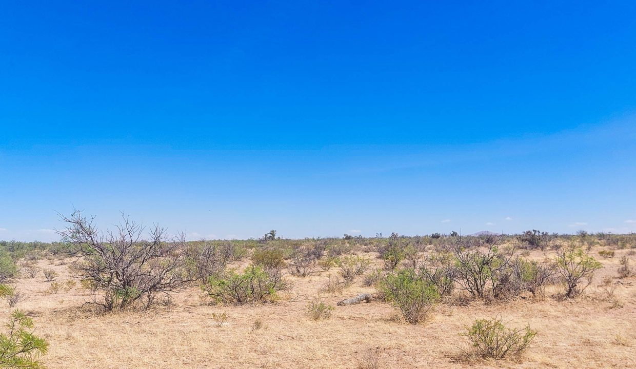 Area Image-10