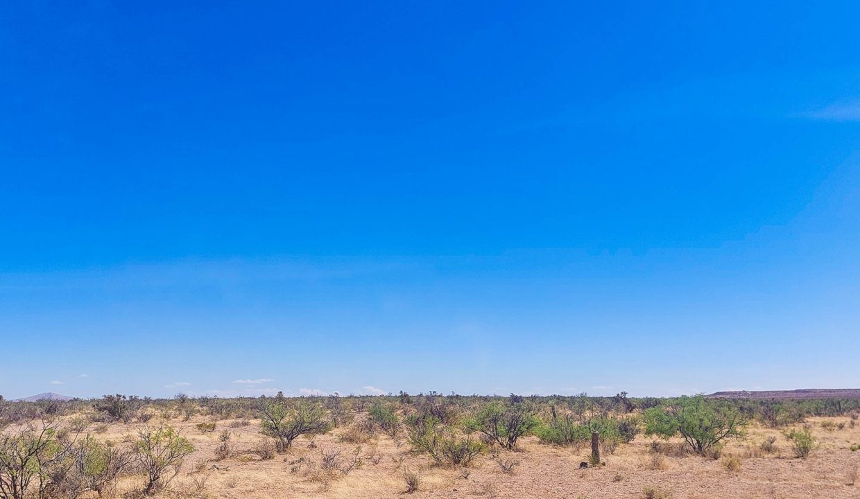 Area Image-11