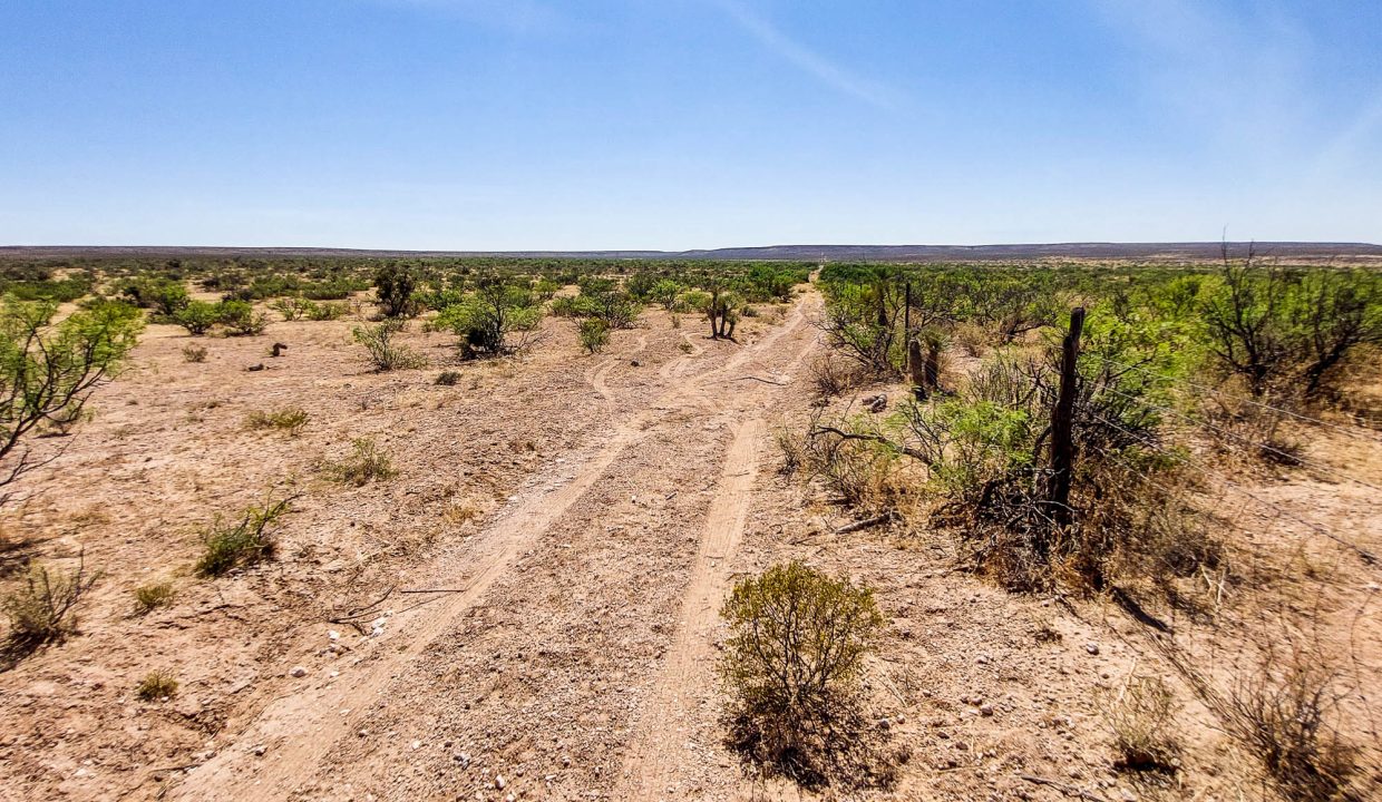 Area Image-13
