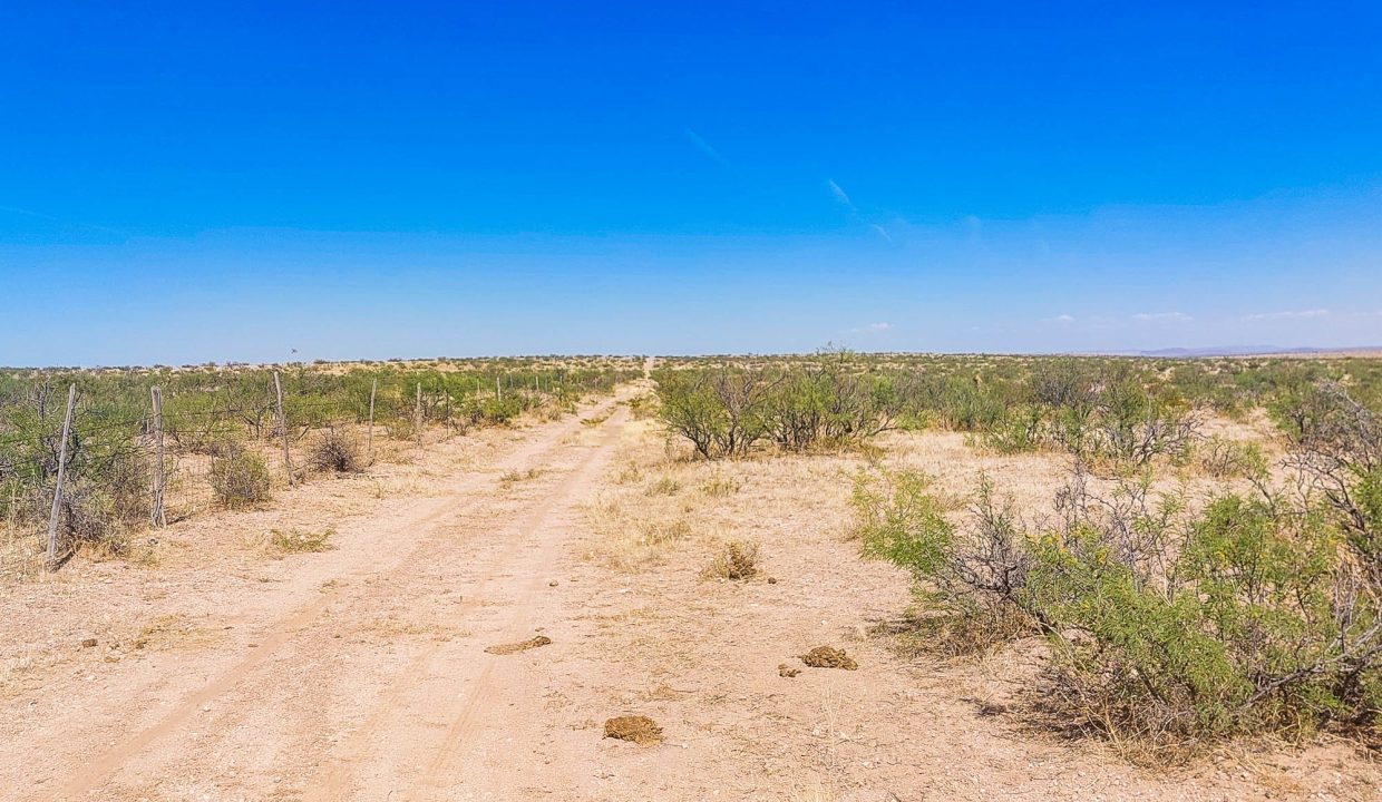 Area Image-14