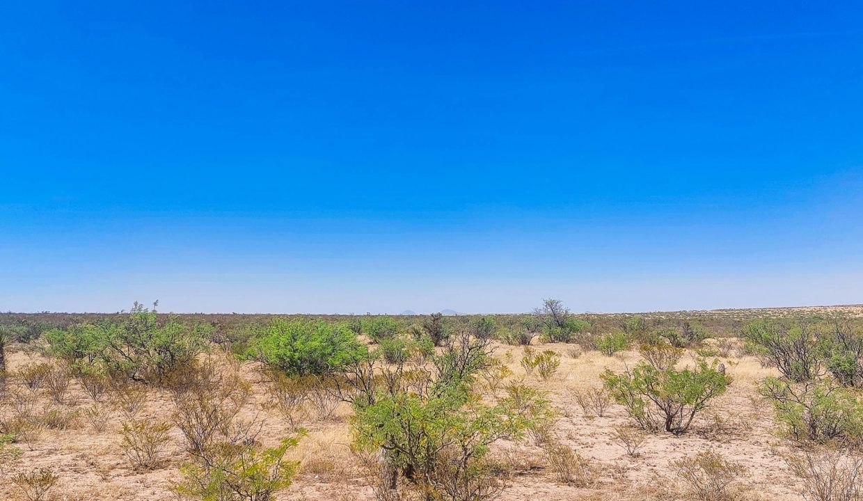 Area Image-16