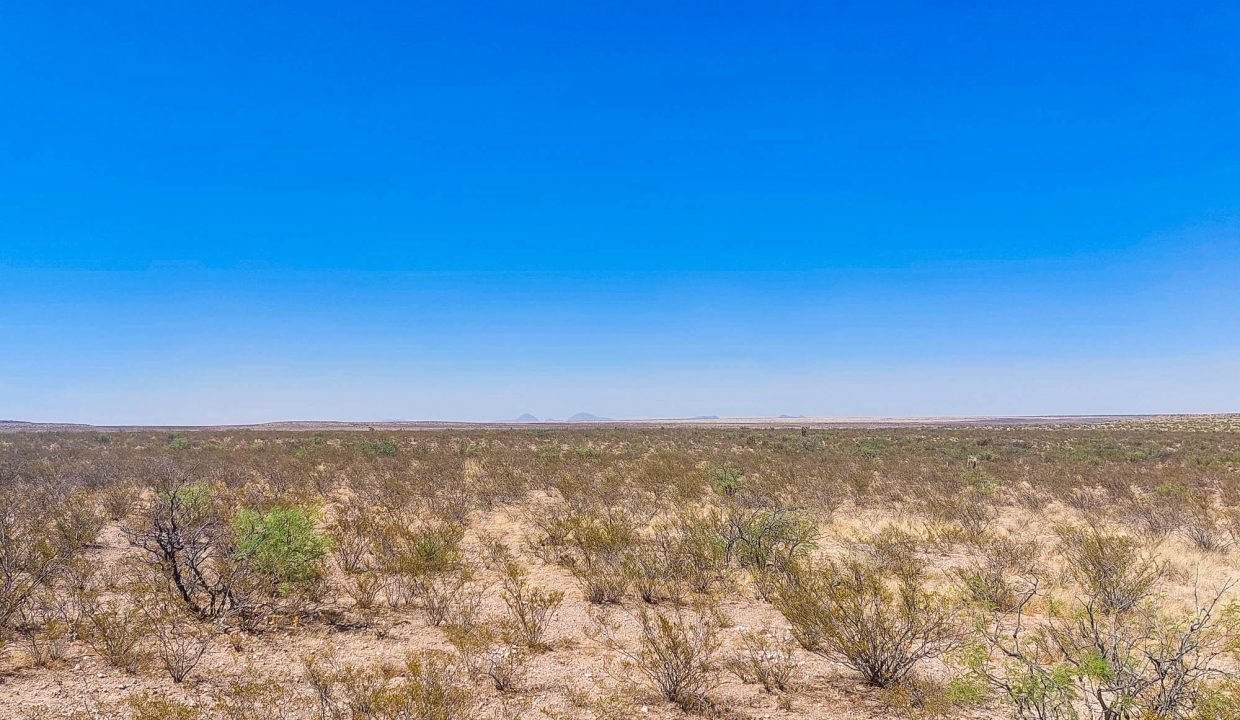 Area Image-20