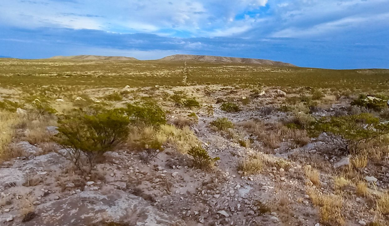 Area Image-24